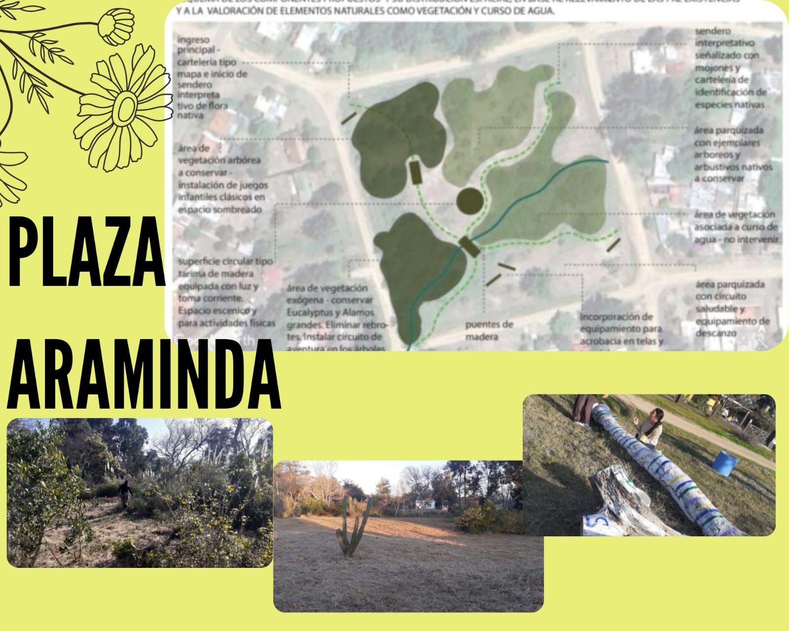 PLAZA ARAMINDA