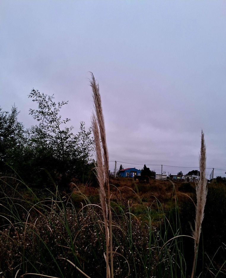 20250617_174333.jpg