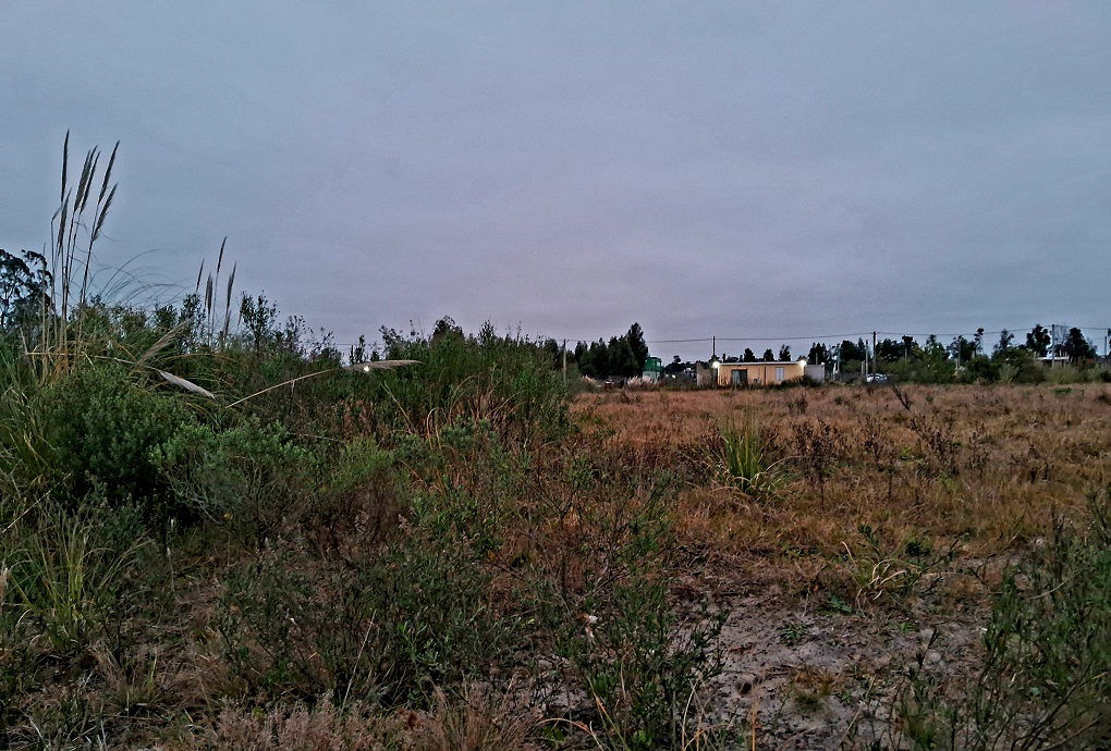 20250617_174518.jpg