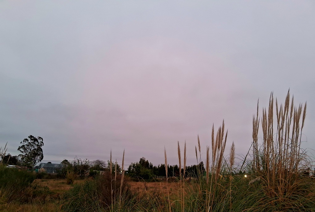 20250617_174544.jpg