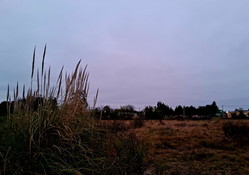 20250617_174603.jpg