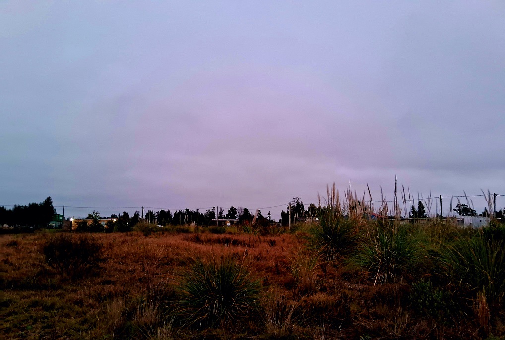 20250617_174606.jpg