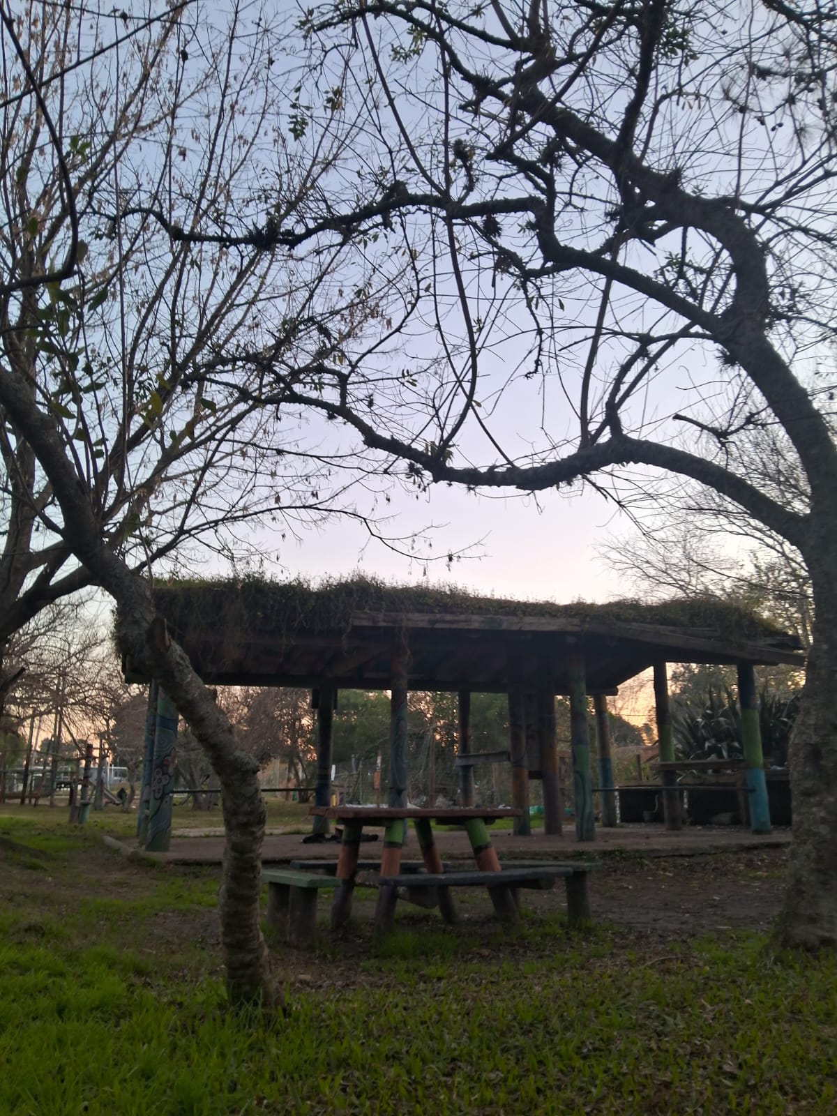 1000200860.jpg