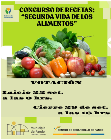VOTACIÓN_Inicio_22_set._a_las_0_hrs._Cierre_29_de_set._a_las_16_hrs.png