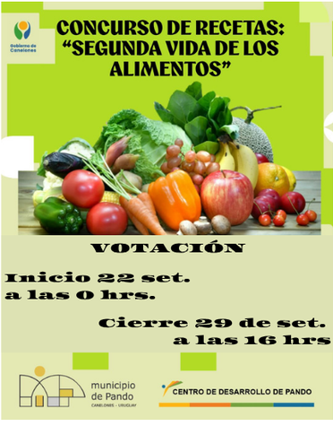 VOTACIÓN_Inicio_22_set._a_las_0_hrs._Cierre_29_de_set._a_las_16_hrs.png